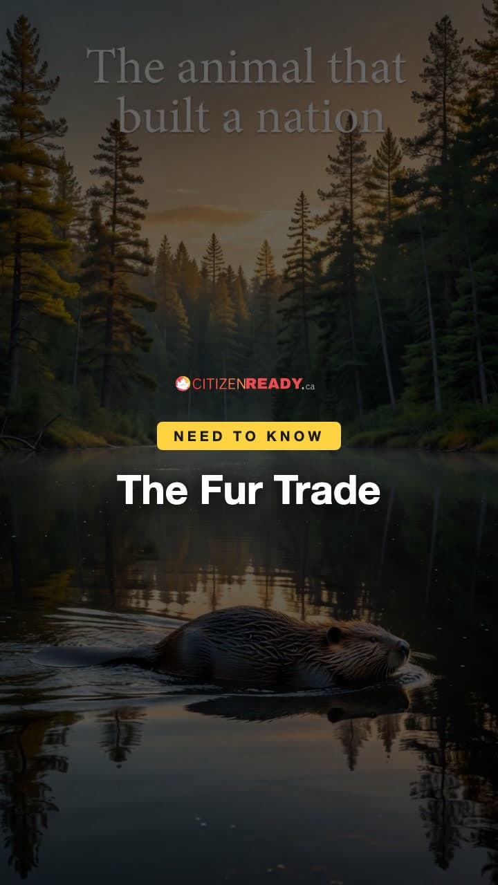 The Fur Trade