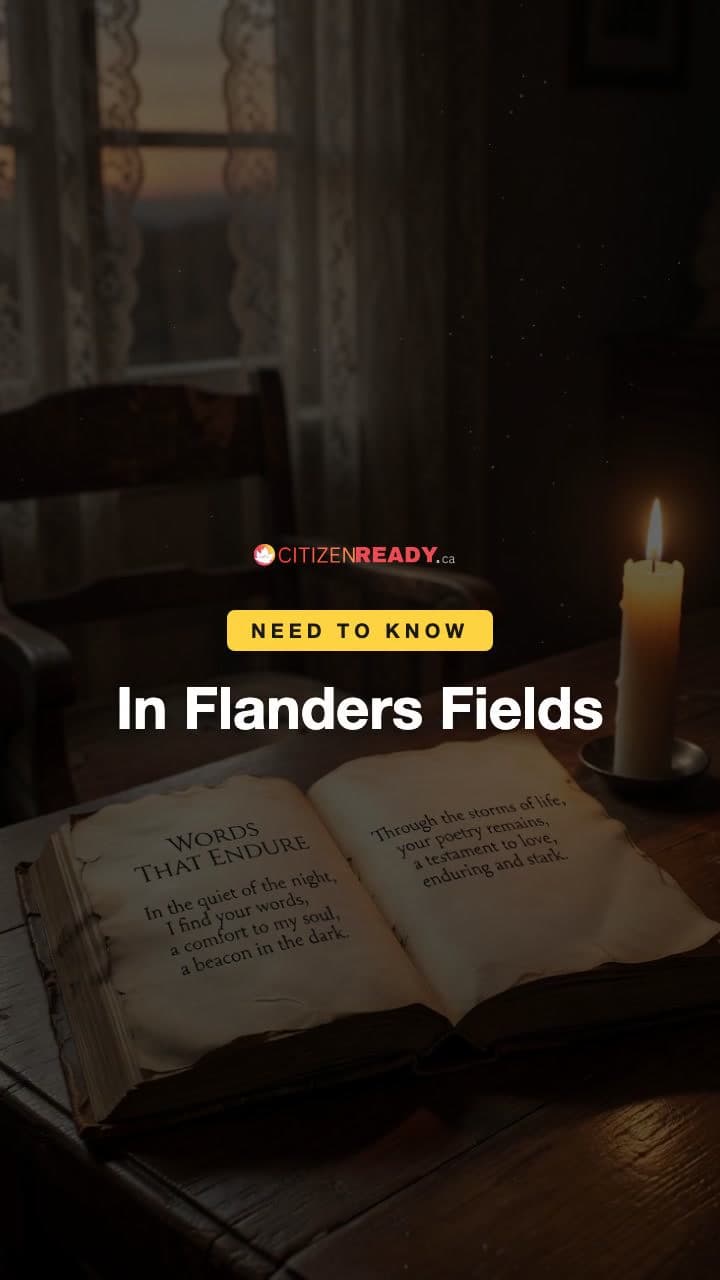 In Flanders Fields