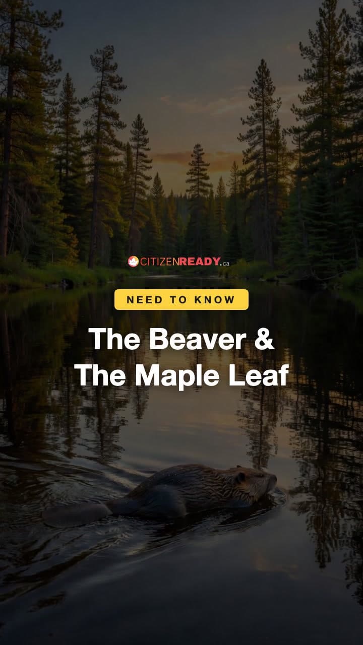 The Beaver & The Maple Leaf