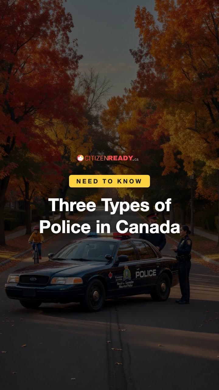 Three Types of Police